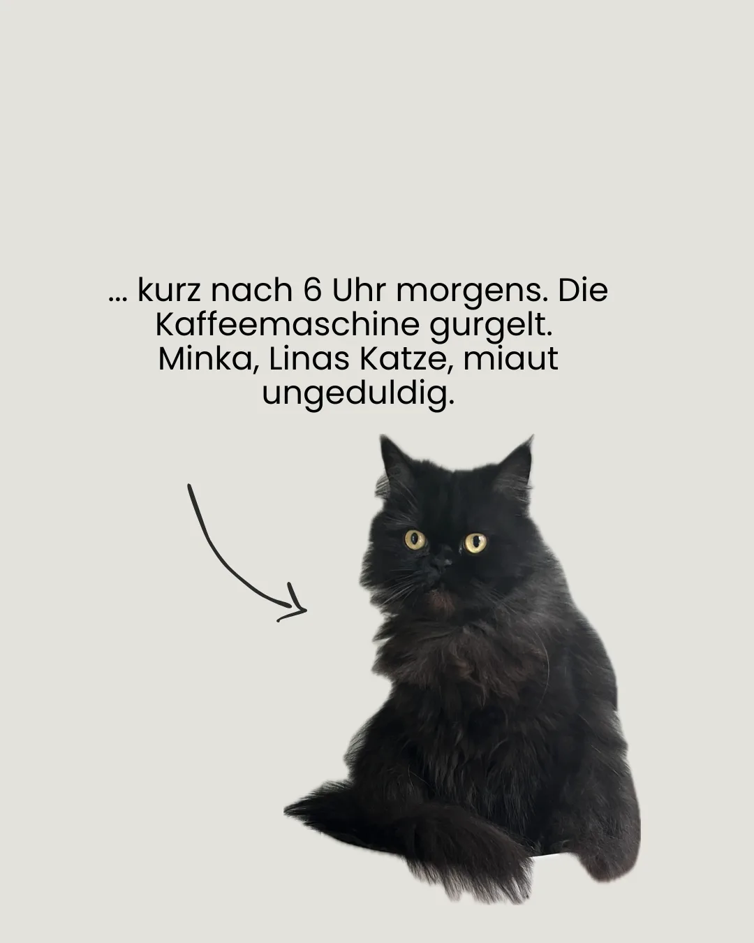 kopfstand des lebens katze von lina